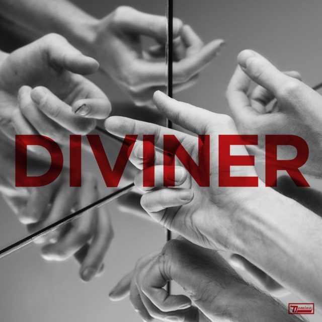 Cover art for Diviner