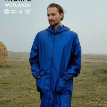 Cover art for Wetlands