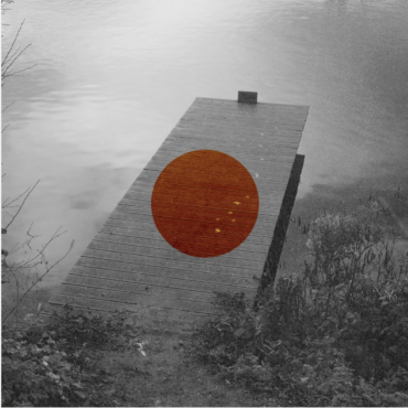 Cover art for Wetlands