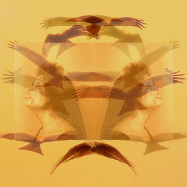 Cover art for To Behold You