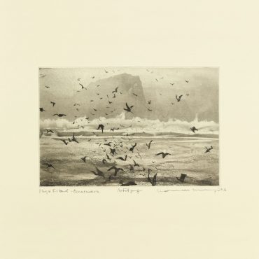 Cover art for Murmuration
