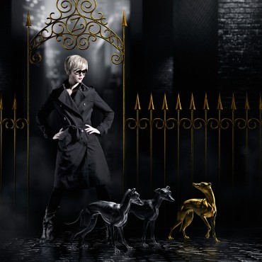 Cover art for My Italian Greyhound