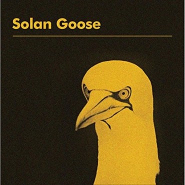 Cover art for Solan Goose